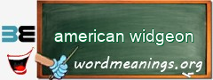 WordMeaning blackboard for american widgeon